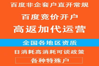 成功案例：一家SEM外包公司的成长与蜕变